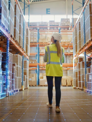 Equipo de STI Logística trabajando en soluciones de comercio exterior